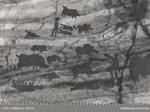 Rock art from Uppland, Sweden, showing wild boar. Enköpings museum, EK0136.