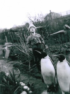 A boy with the Røst penguins