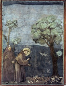 Giotto, St. Francis Preaching to the Birds in the Church of San Francesco, painted in 1299