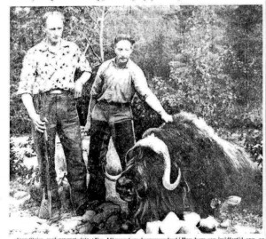 The two men who hunted down the muskox which killed Ole Stølen. Photo from Aftenposten, 23 July 1964, morning edition.