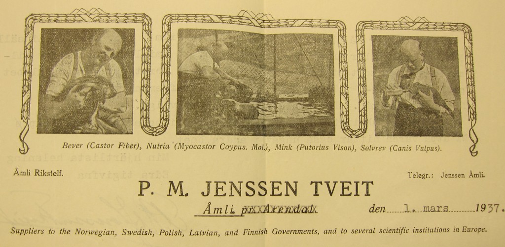 Jenssen-Tveit letterhead from 1937 listing the countries he had supplied with beavers: Norway, Sweden, Poland, Latvia, and Finland