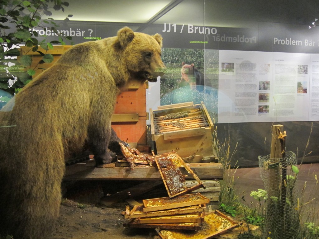 Bruno the Bear exhibit at the Museum of Man and Nature in Munich