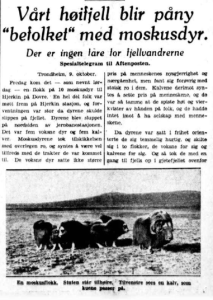 "Our high mountains will be fully populated with muskox. They are not a danger for mountain hikers." Aftenposten, 10 October 1932