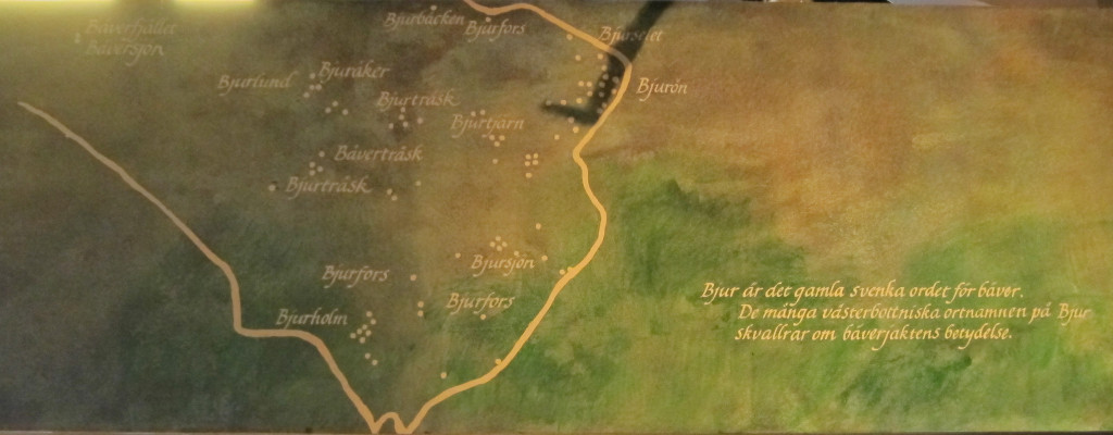 Map of the Bjur- placenames in Västerbotten county at the county museum. Photo By D. Jørgensen, March 2012