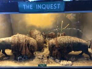 "The Inquest". A coin operated animated display at the Musée Mécanquie in San Francisco, California. Photo by Dolly Jørgensen.