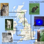 Map accompanying the news article 'Aliens among us: What strange species are making England home?'