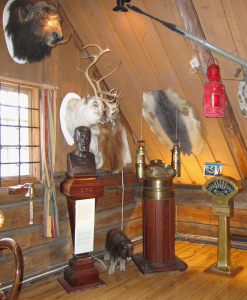 The commemorative bust of Adolf Hoel at the Polar Museum in Tromsø sits appropriately alongside a stuffed muskox calf and mounted adult muskox head. Photo by D Jørgensen. 