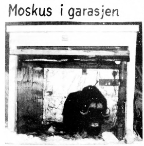 Muskox in the garage. Printed in Svalbardposten newspaper, 5 February 1972.