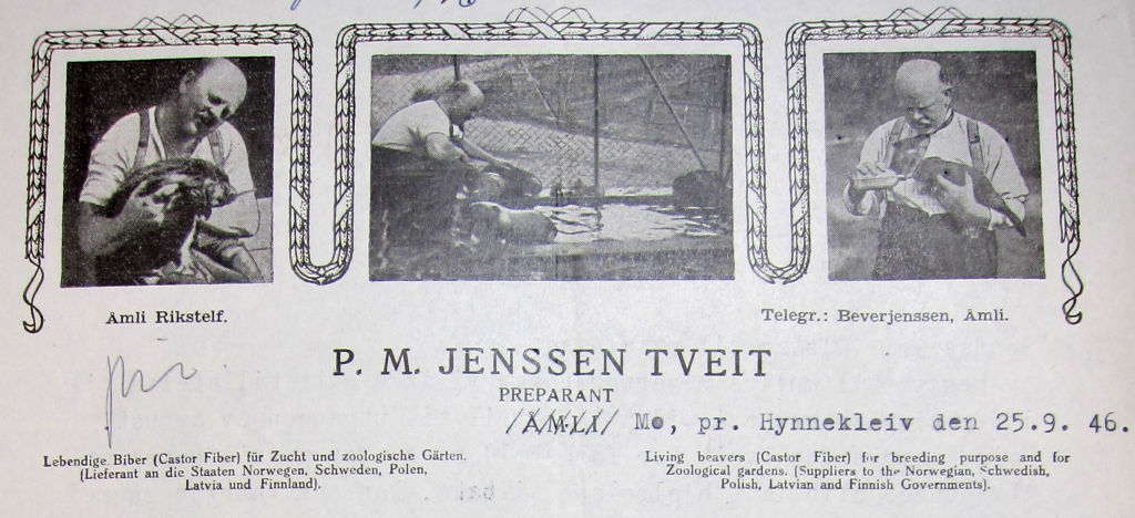 In the 1930s and 1940s, you could send a telegram to BeverJensson at Åmli to order beavers for export.