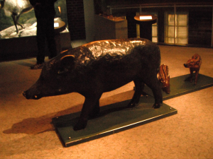 Wild boar statues in the "Swedish nature" exhibit of the Swedish Natural History Museum, Stockholm.