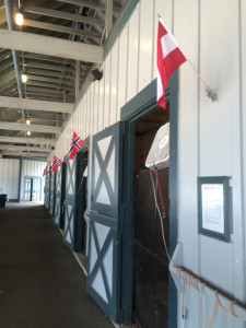 Flags flying on each horse's stable at Kentucky Horse Park