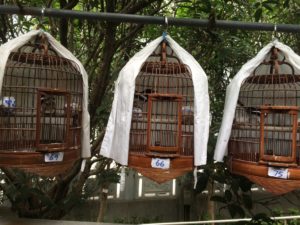 Caged birds for sale at the Yuen Po Street Bird Garden