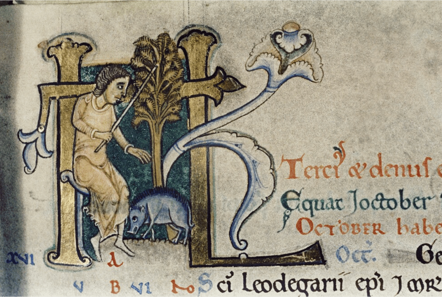 Pigs and pollards – medieval insights for UK wood pasture restoration