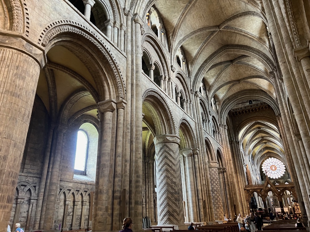 The enduring landscape of medieval cathedral construction