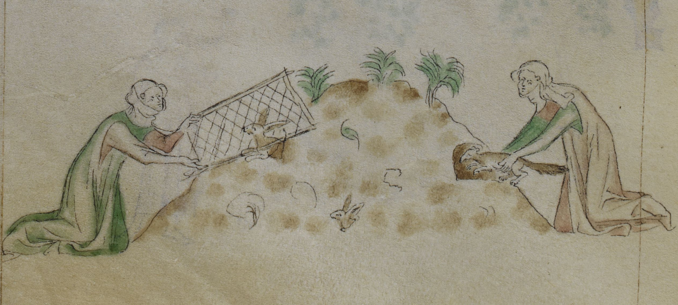 Illuminating Ephemeral Medieval Agricultural History through Manuscript Art