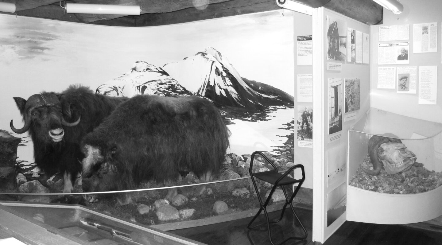 A new place for stories: Blogging as an environmental history research tool