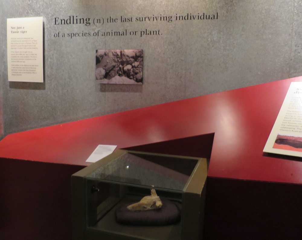Endling, the power of the last in an extinction-prone world