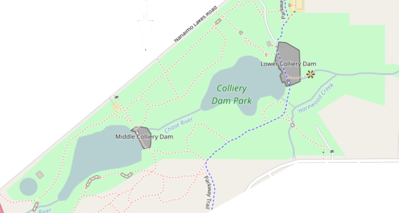 Competing ideas of ‘natural’ in a dam removal controversy