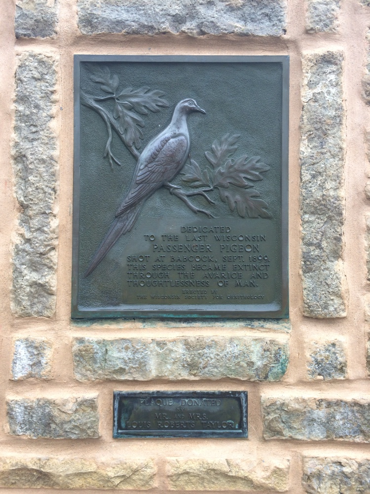 After none: Memorialising animal species extinction through monuments