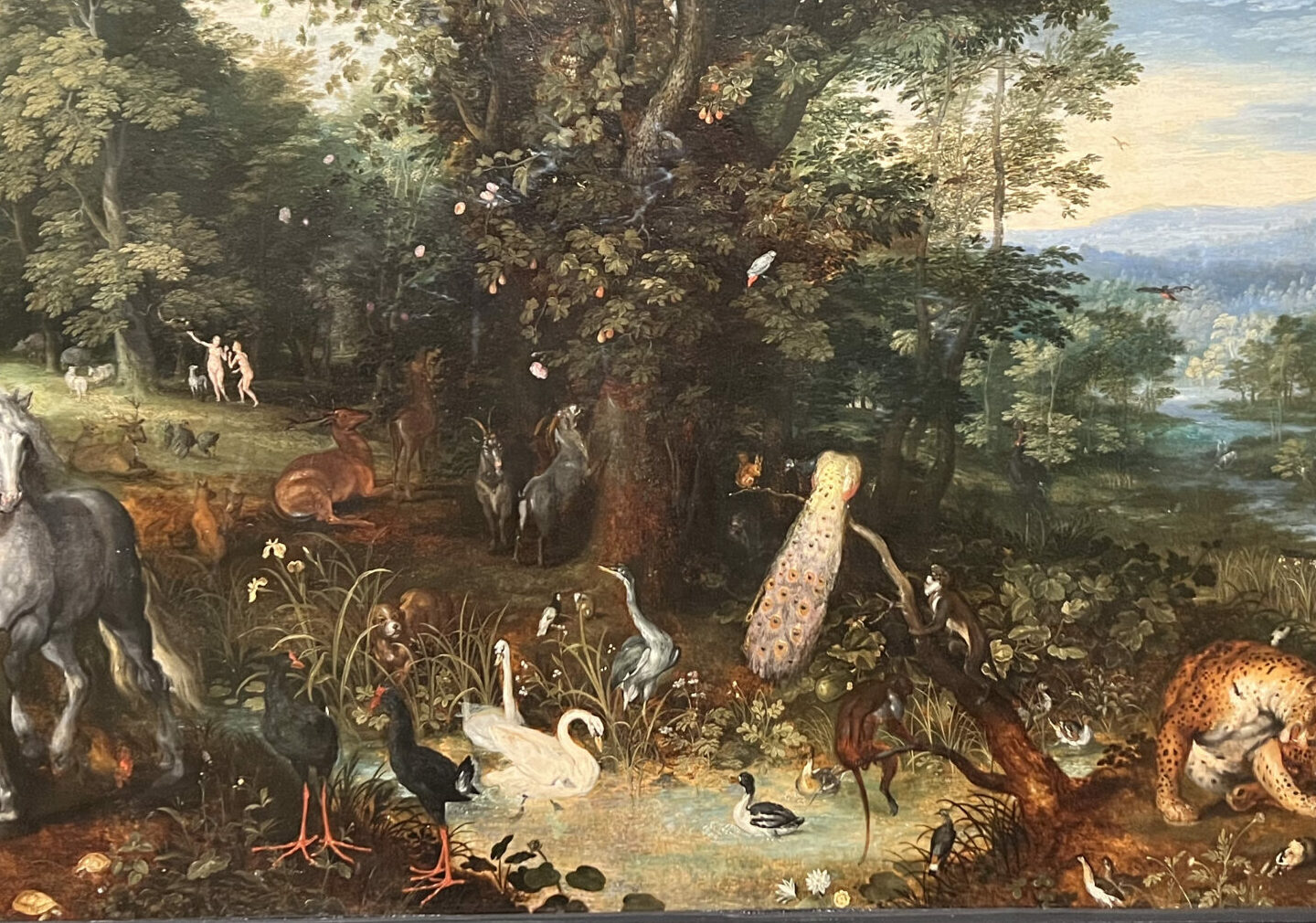 Expanding Eden: Animal discovery and rethinking paradise in Jan Brueghel the Elder’s Garden of Eden